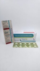PARONIX-TH4