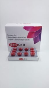 SEFI-Q 10